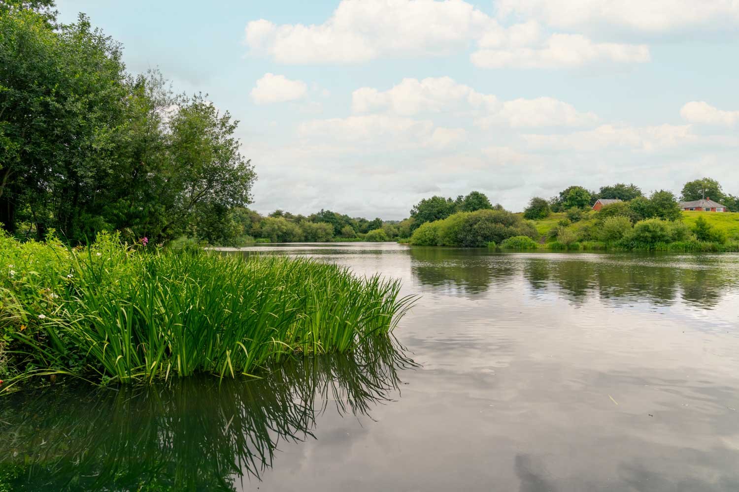 a body of water with grass and trees around it