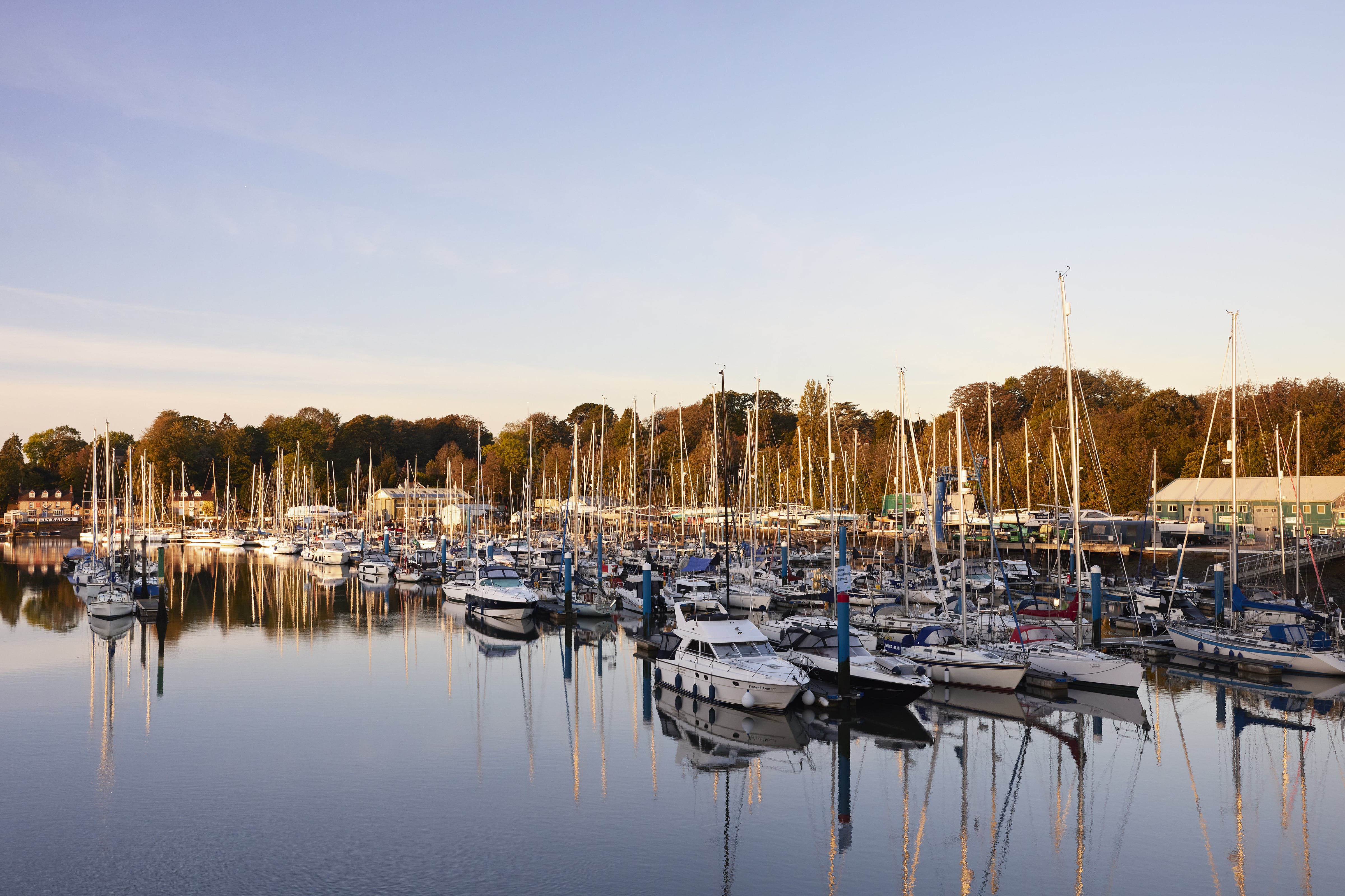 a marina full of boats
