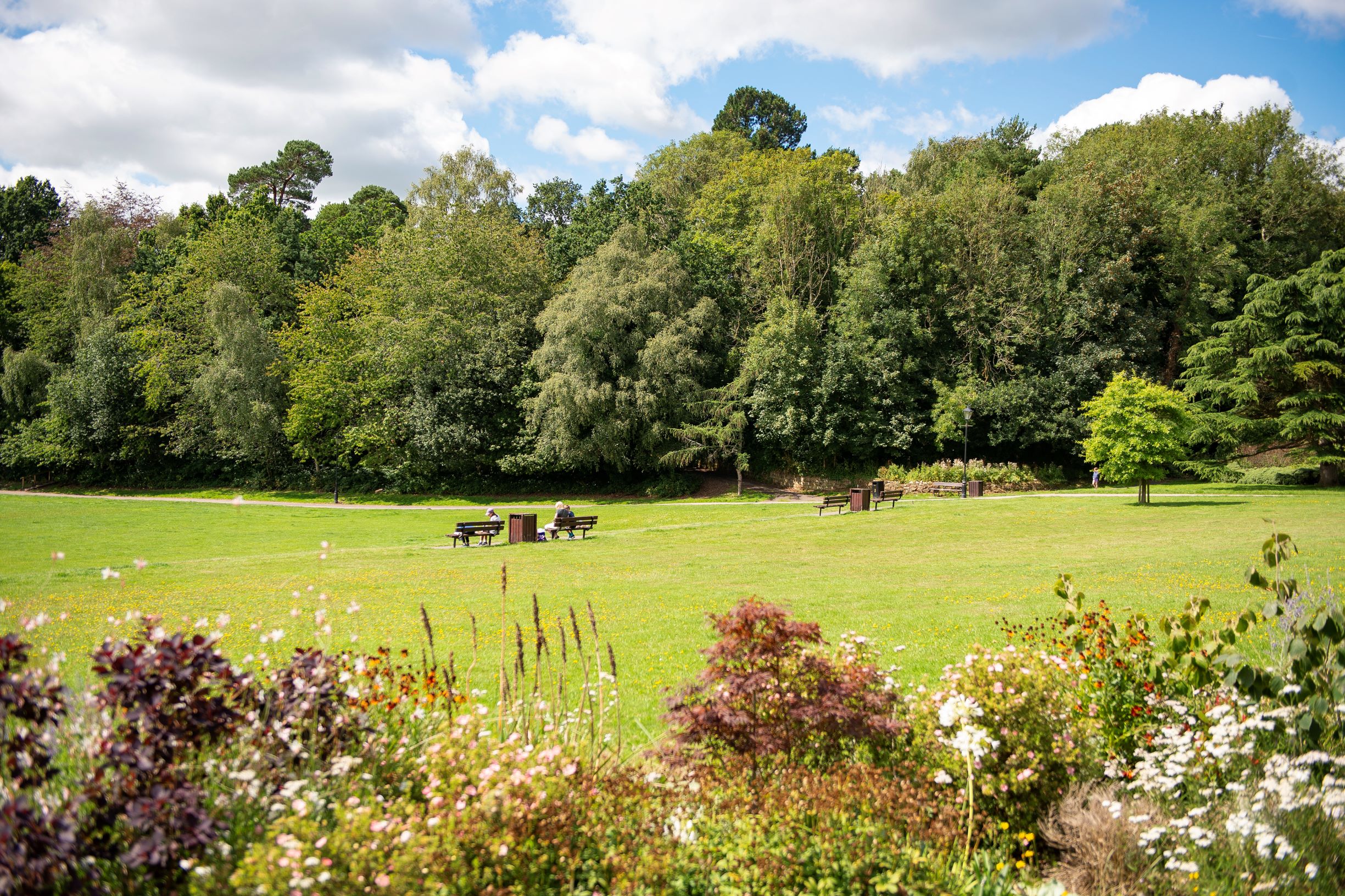 a field with trees and a house