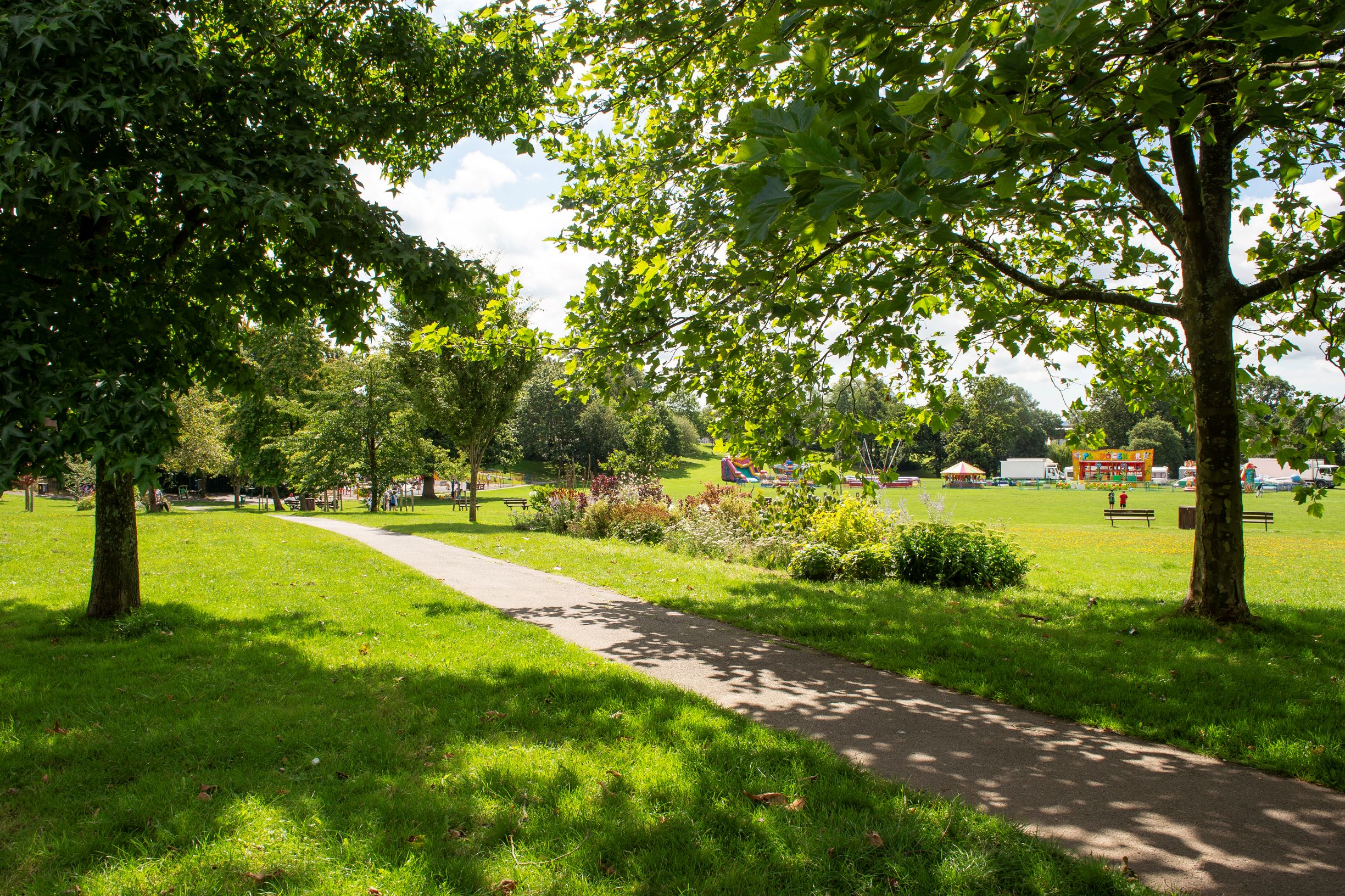 a path with trees and grass on the side
