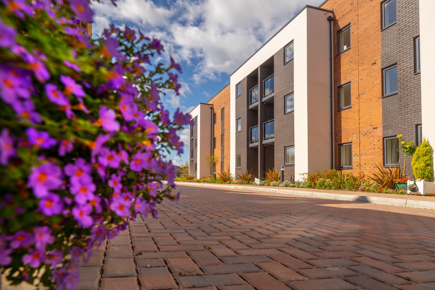 william grange retirement properties for sale rent