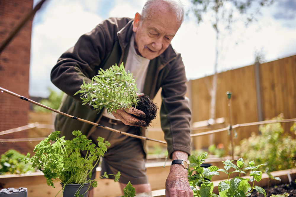 a man holding a plant