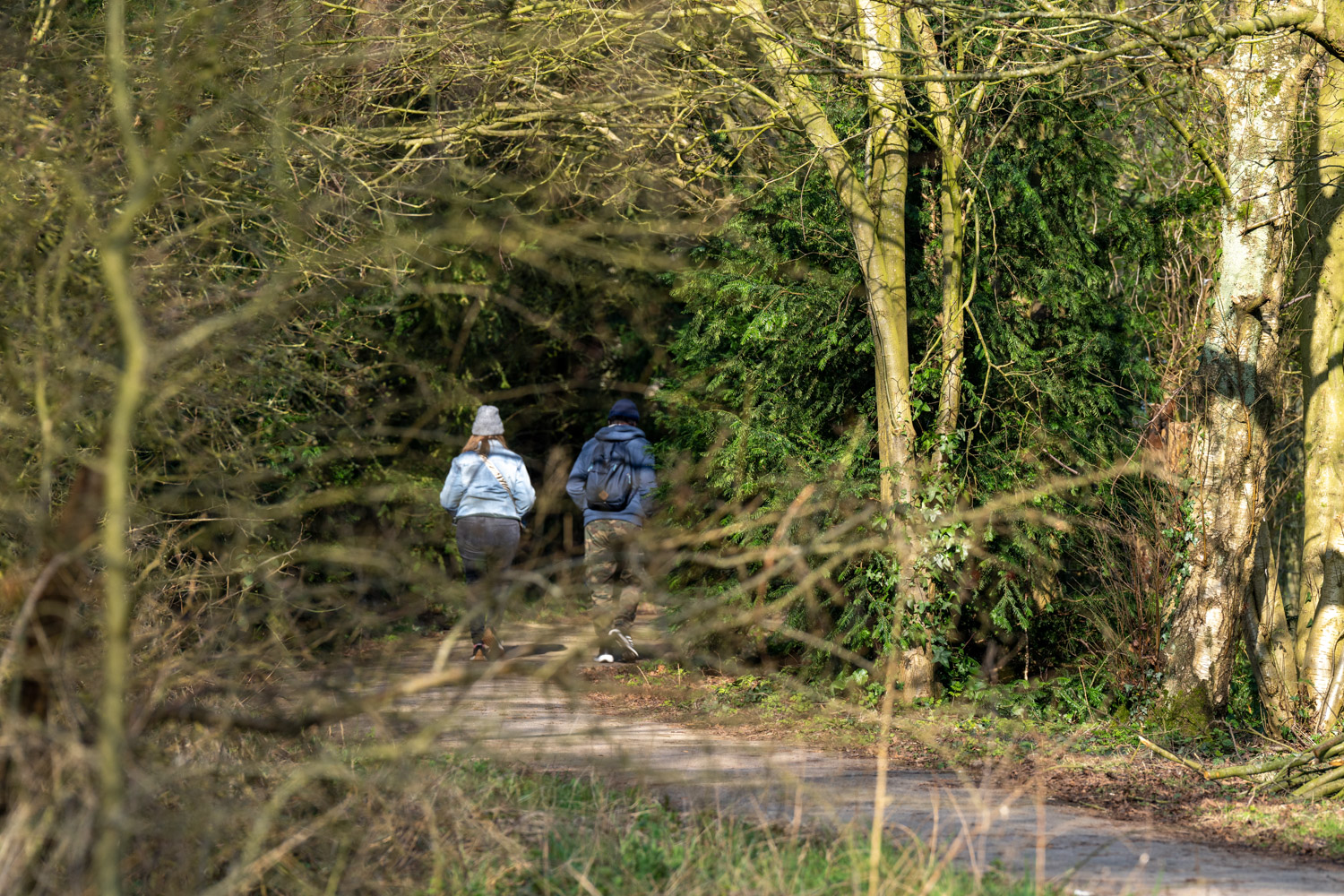a couple people walking in the woods