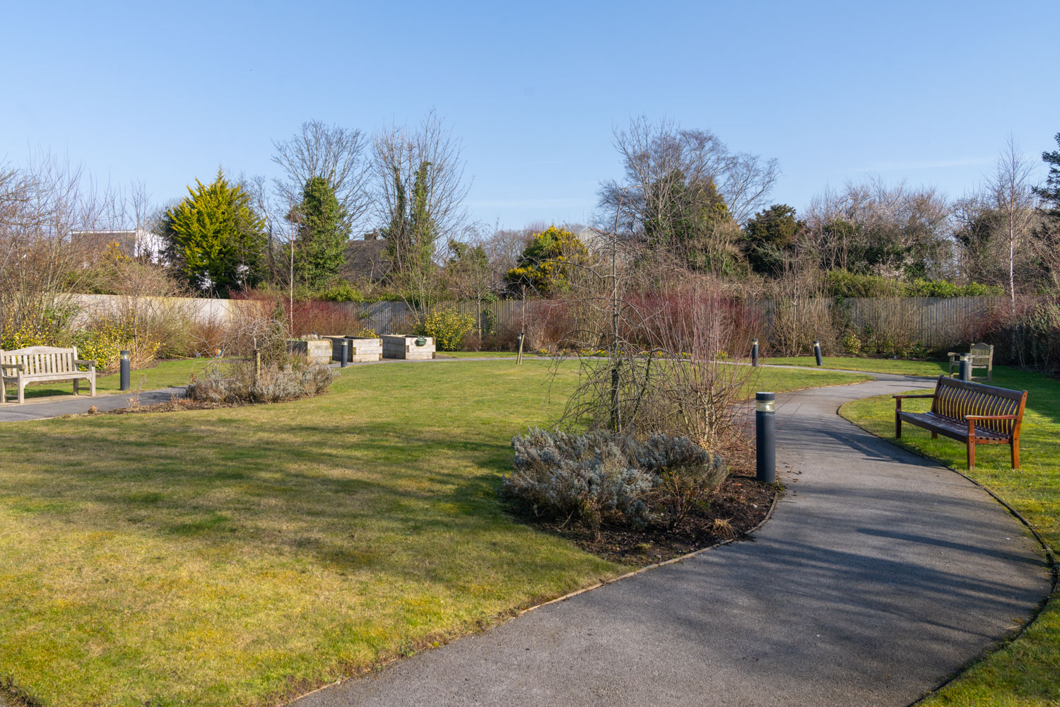 a path with benches and grass