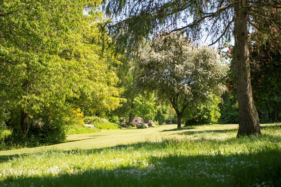 Retirement Homes for sale in Liphook Liphook McCarthy Stone