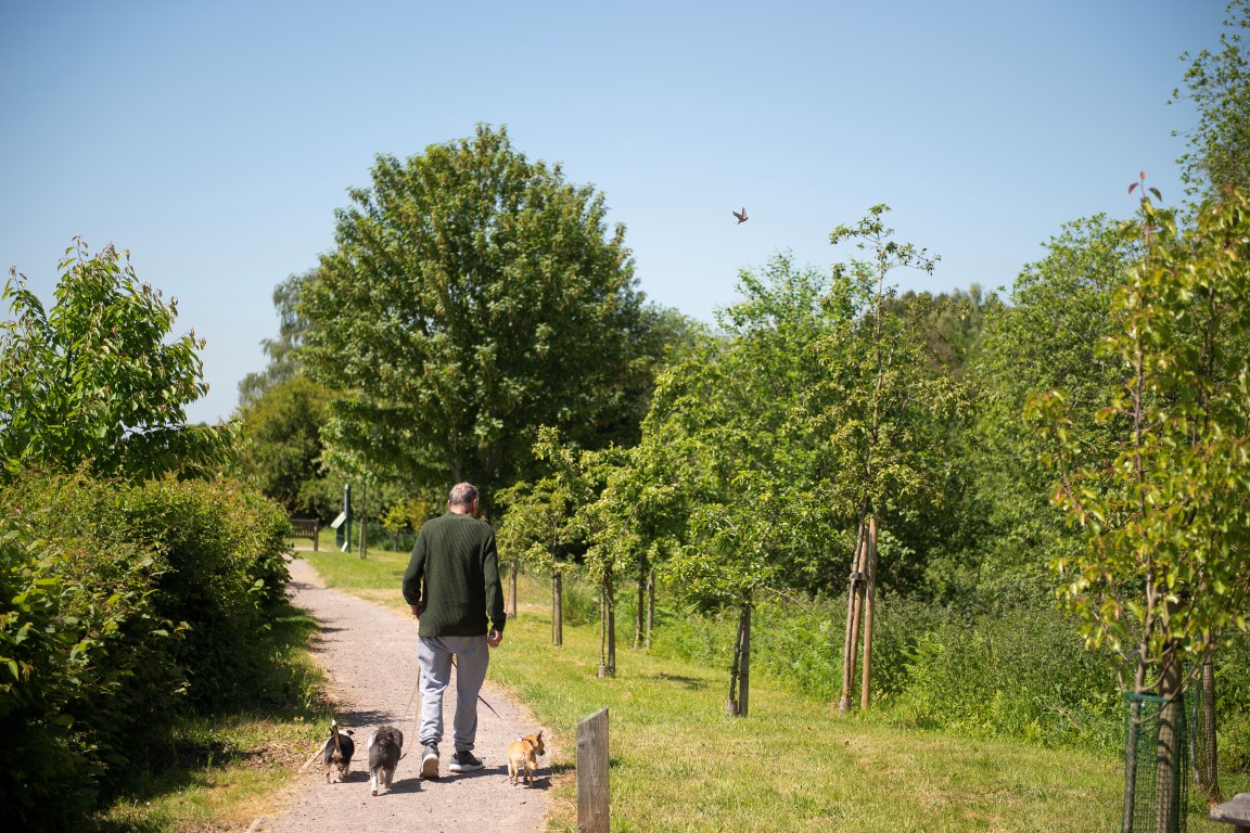 Retirement Homes for sale in Liphook Liphook McCarthy Stone