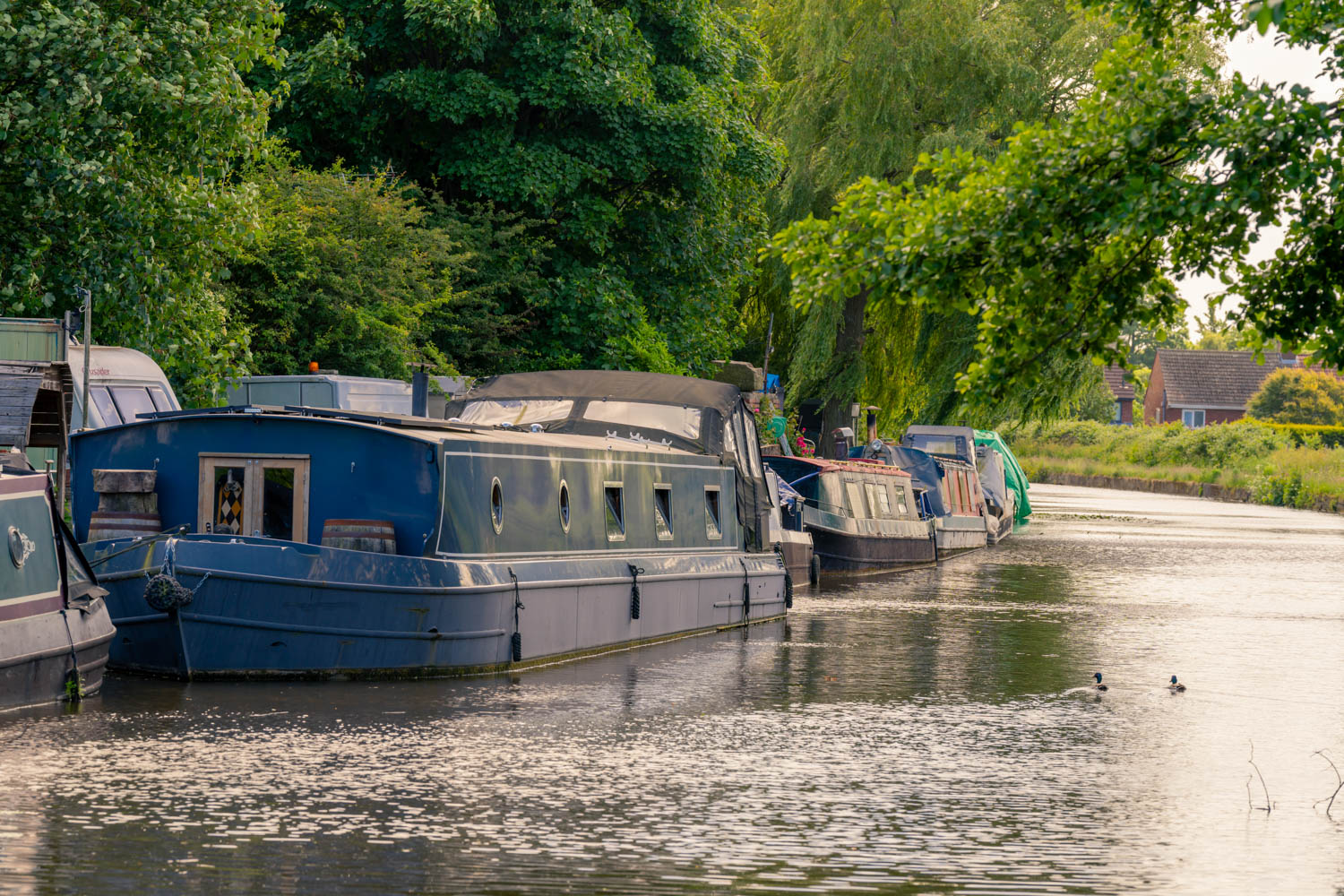 boats are parked in the water