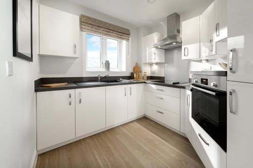 plas elyrch retirement properties for sale rent