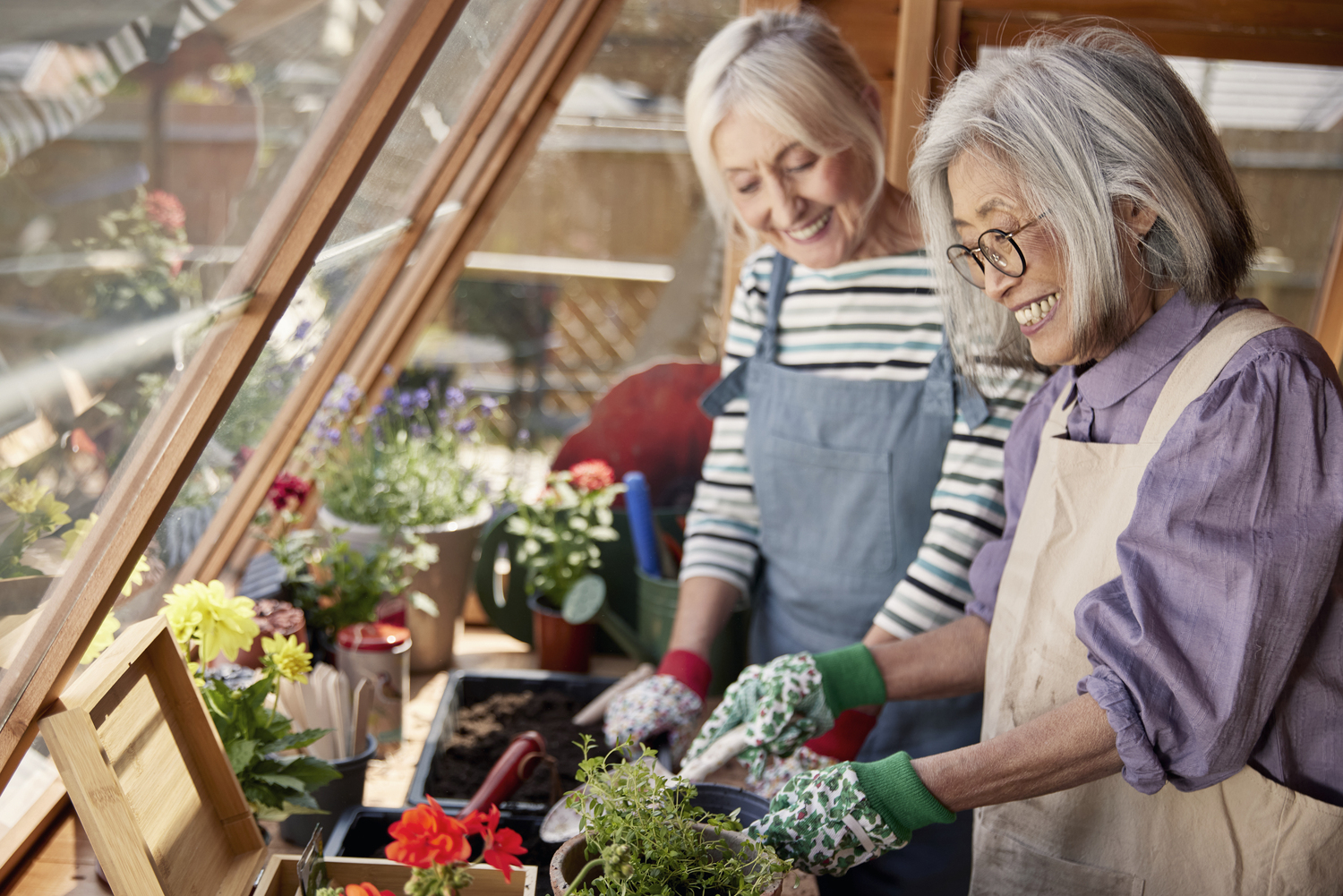 a woman and a girl looking at a plant in a pot