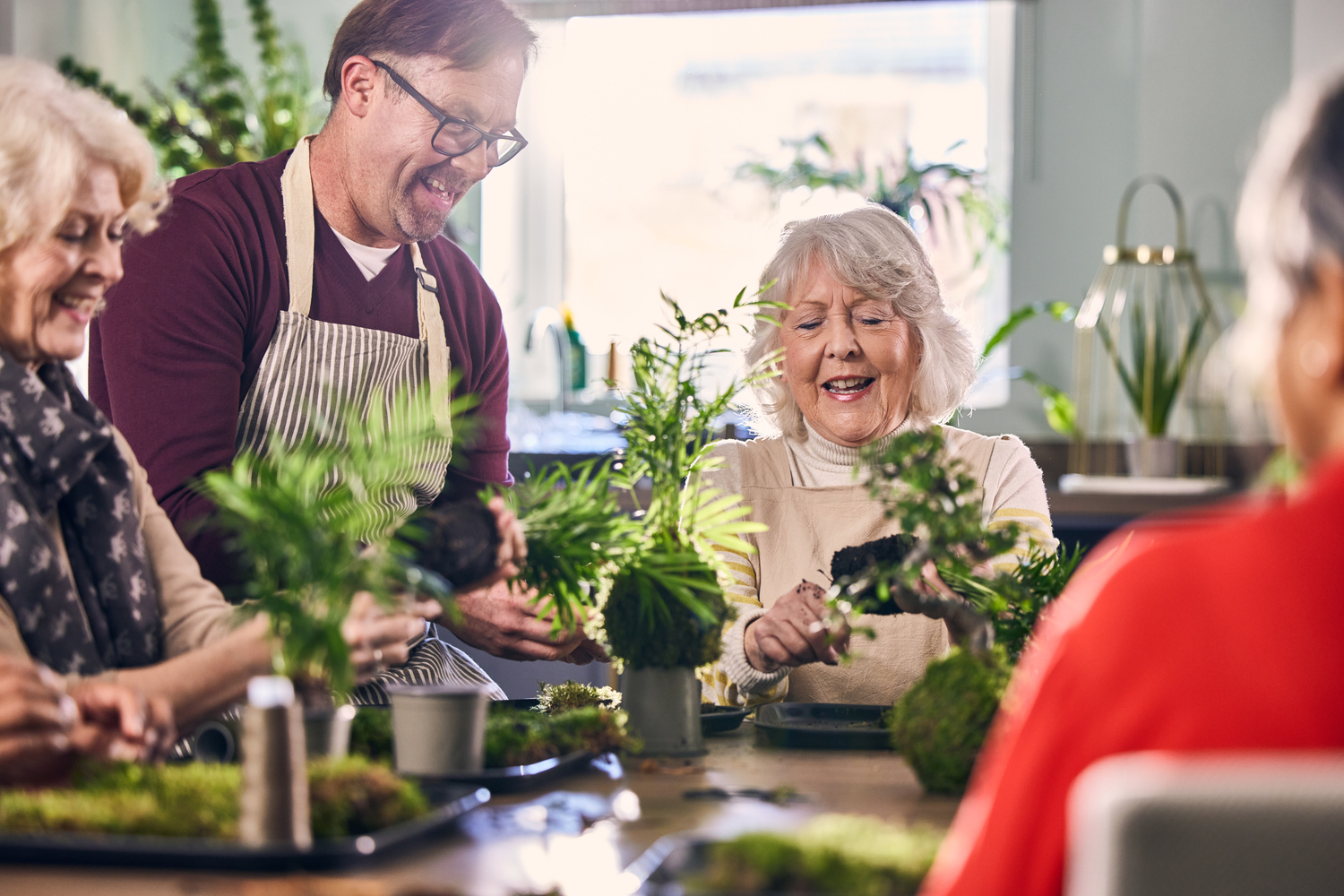 a group of people looking at a plant