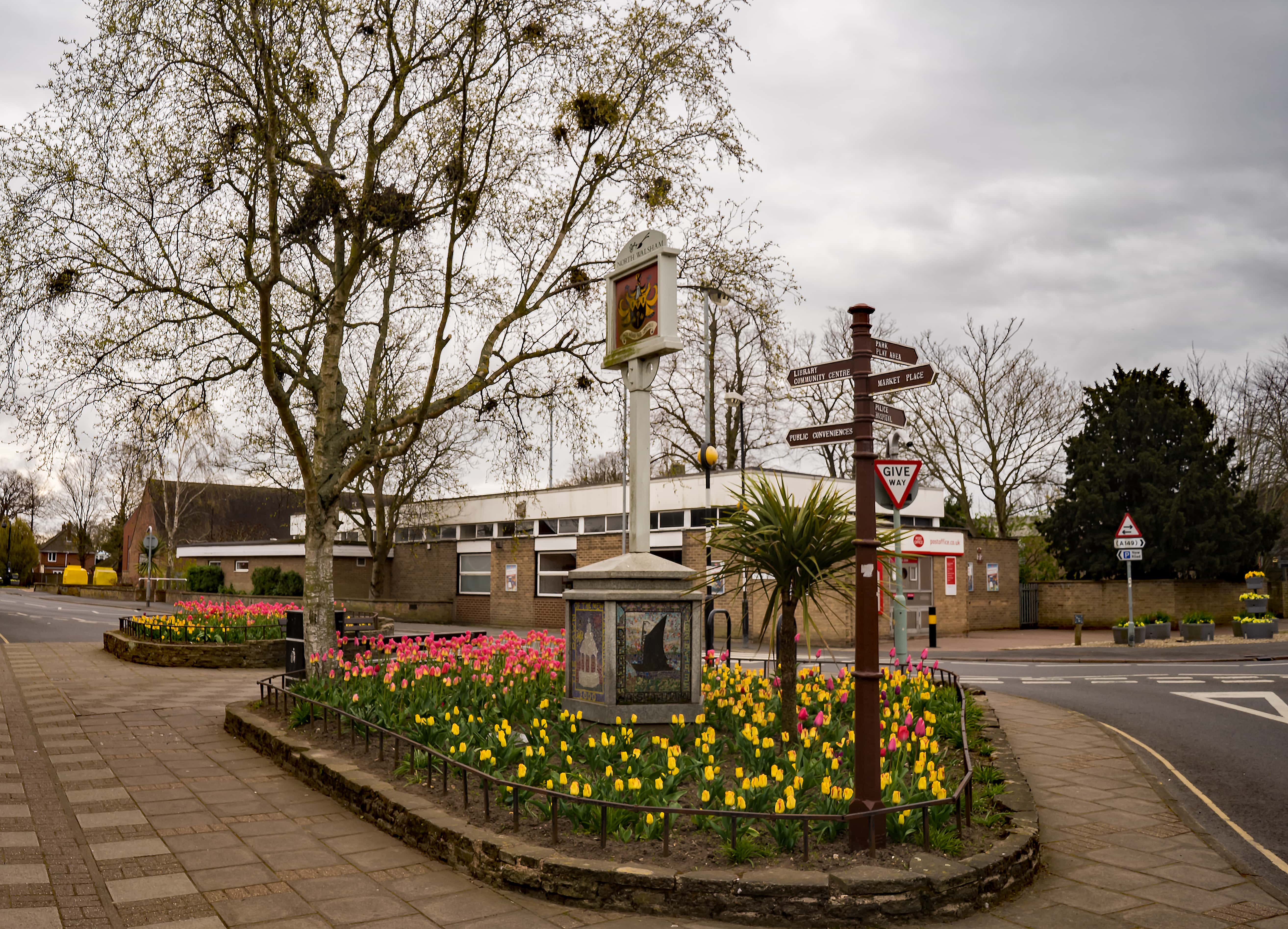 a flower bed in a park
