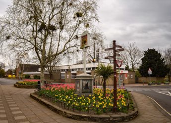 a flower bed in a park