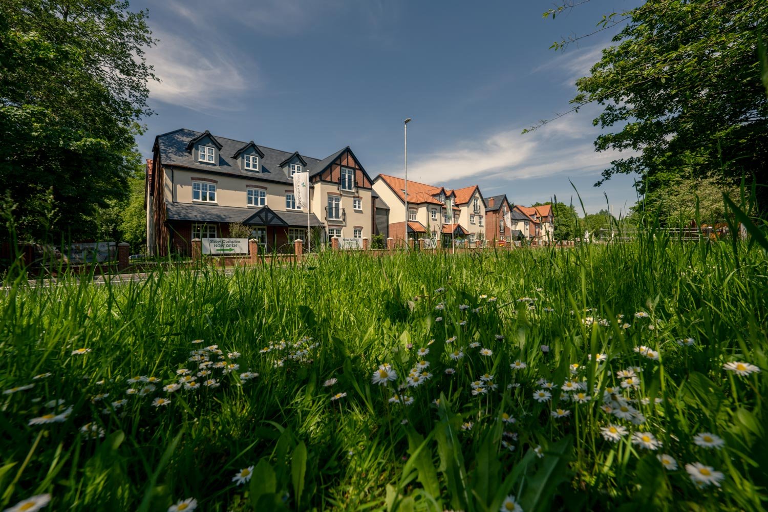 wisteria place retirement properties for sale rent