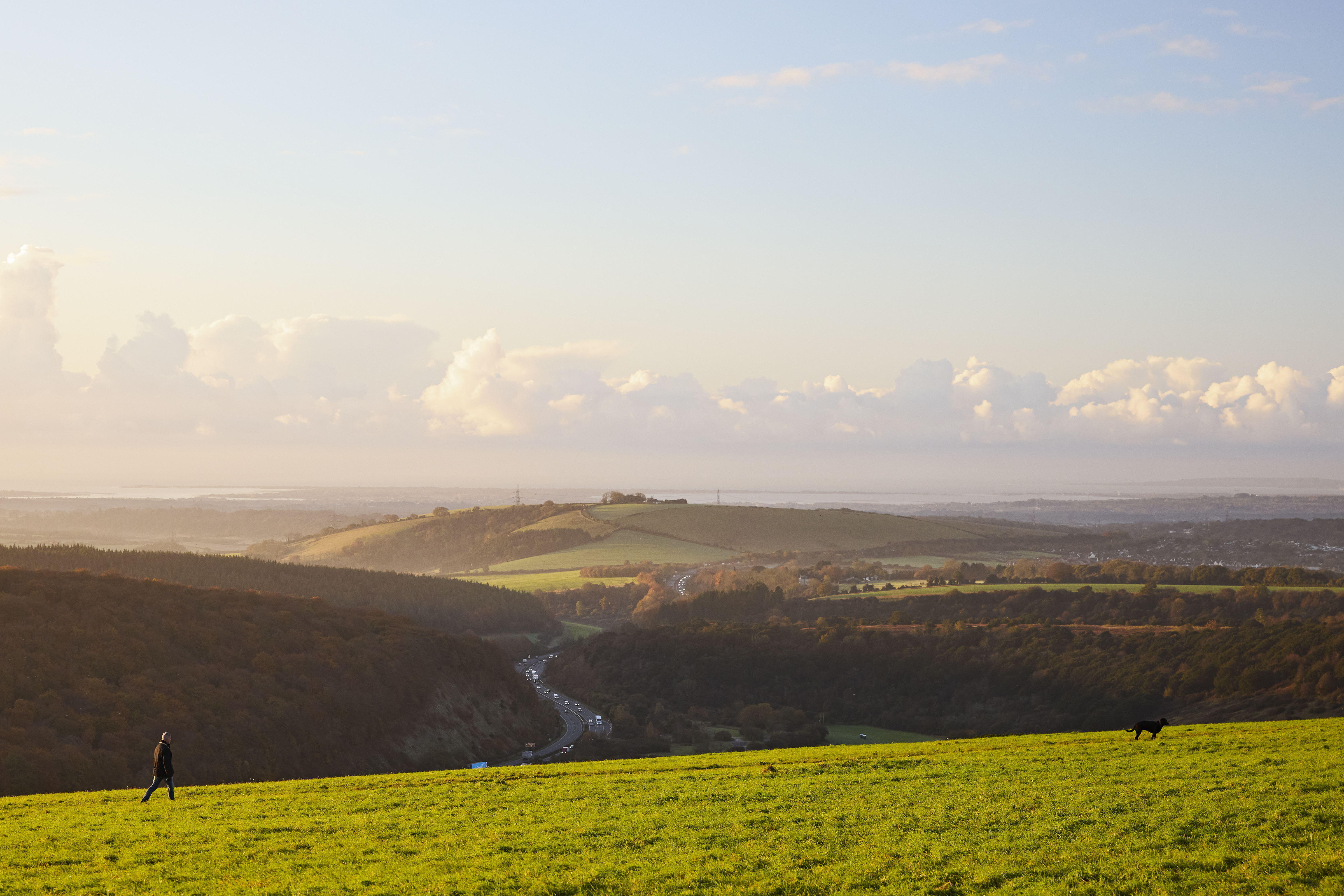 South Downs Bunster Hill View