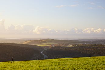 View of South Downs Bunster Hill in Bordon, Hampshire