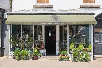 a building with plants in the front