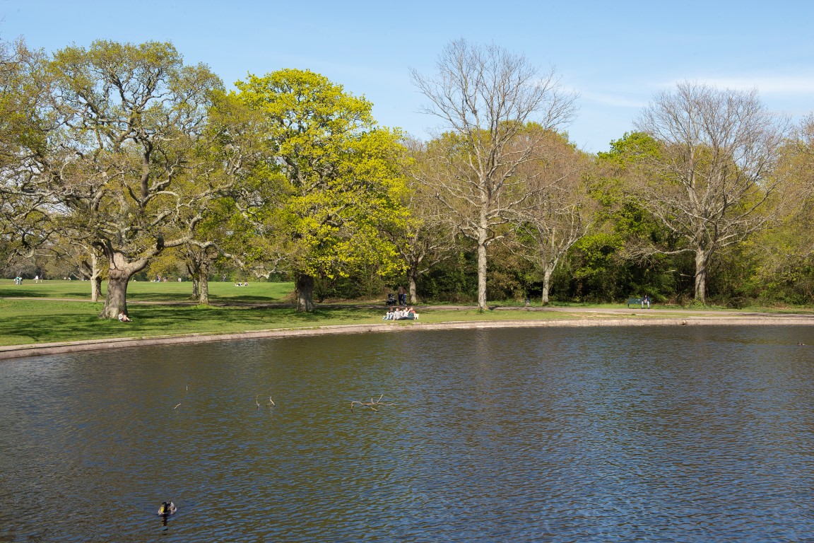 a body of water with trees around it