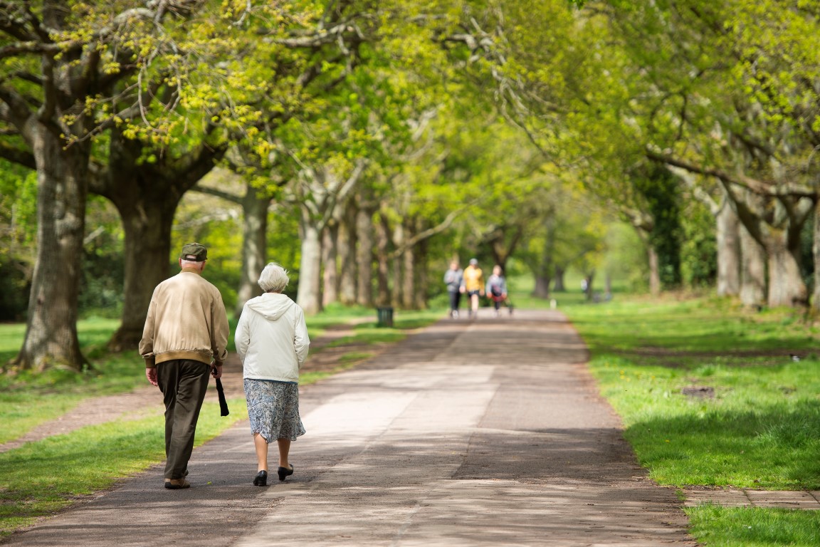 people walking on a path in a park