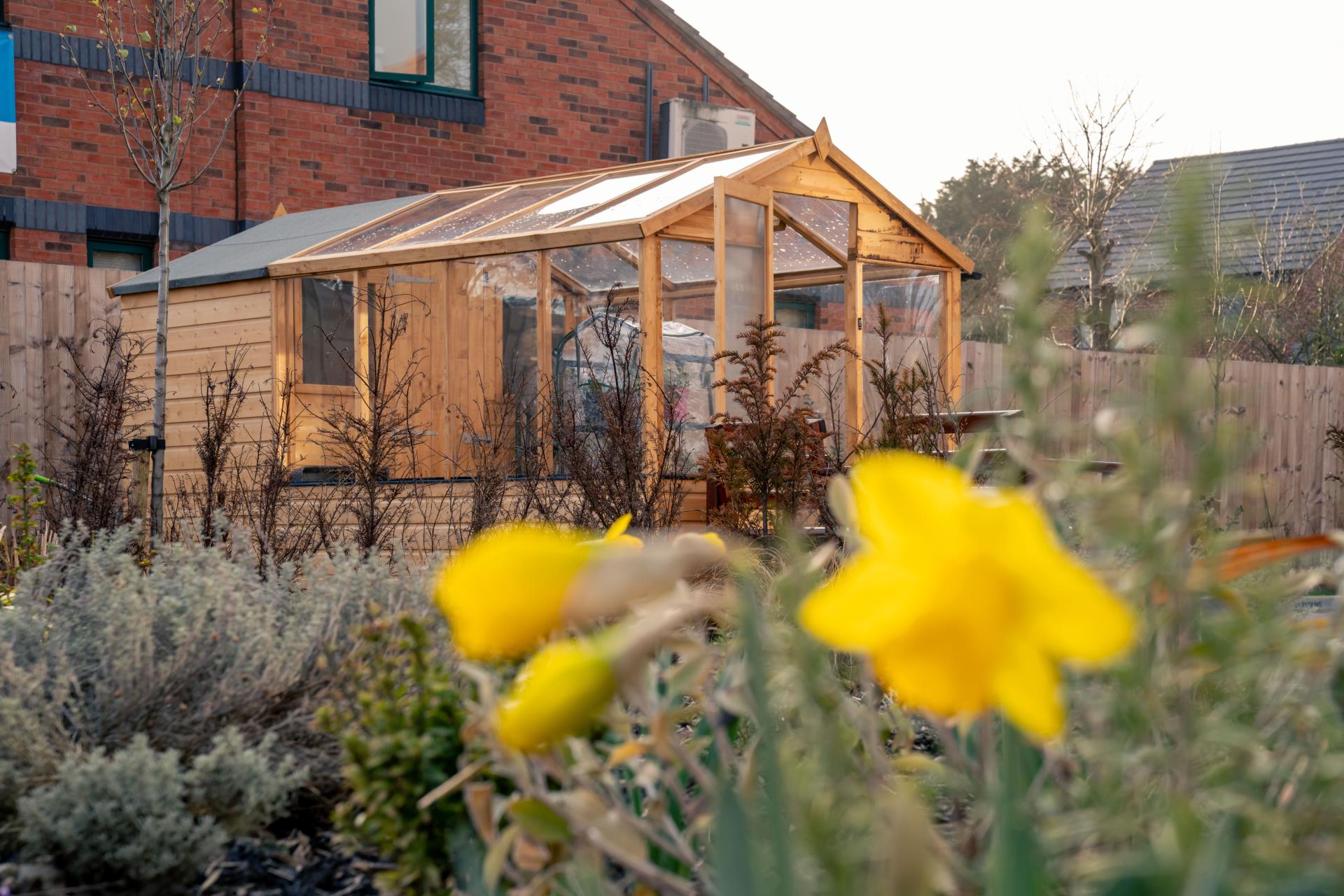 growing together in stafford deans park court retirement properties for rent