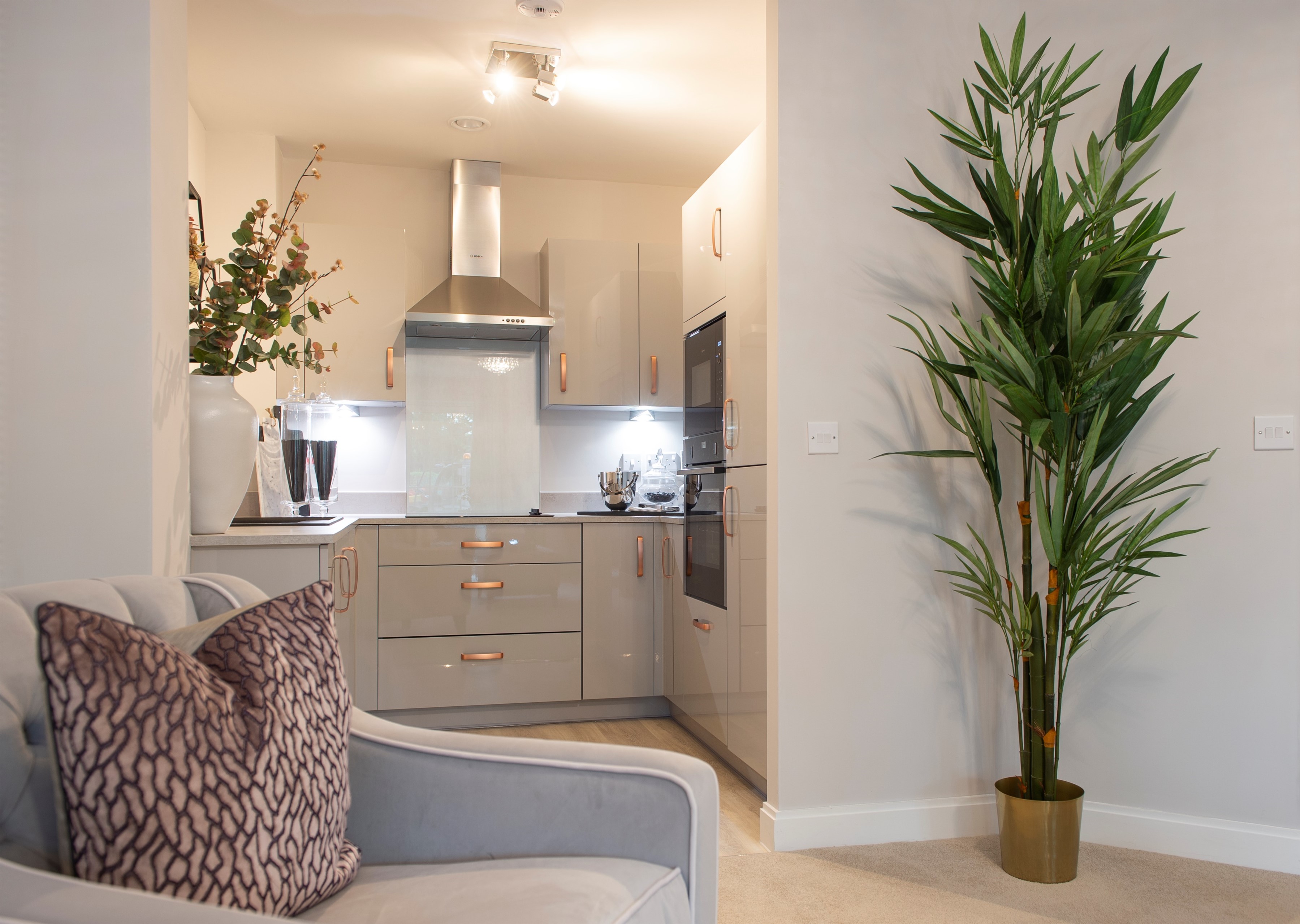 a living room with a plant