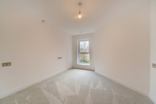 a room with a window and a rug