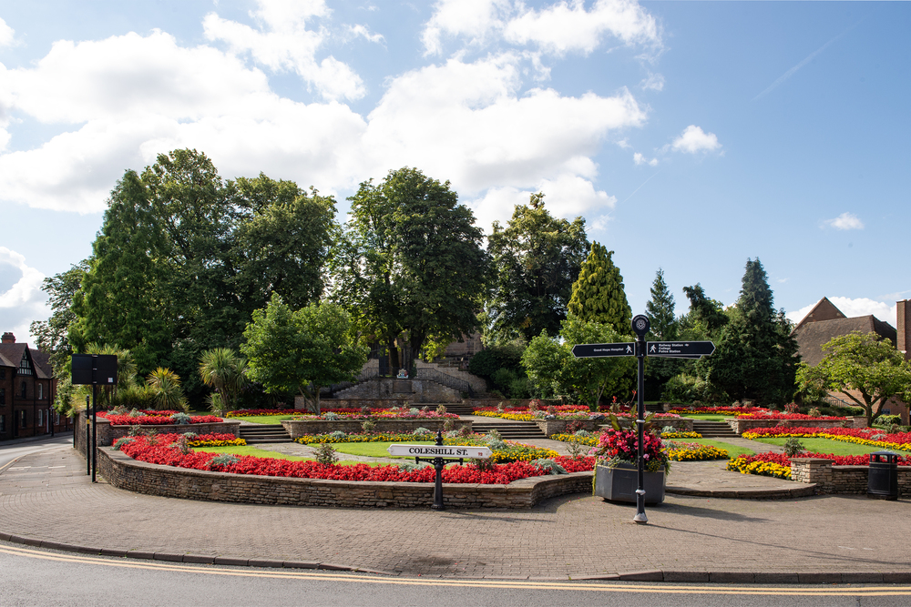a flower bed in a park
