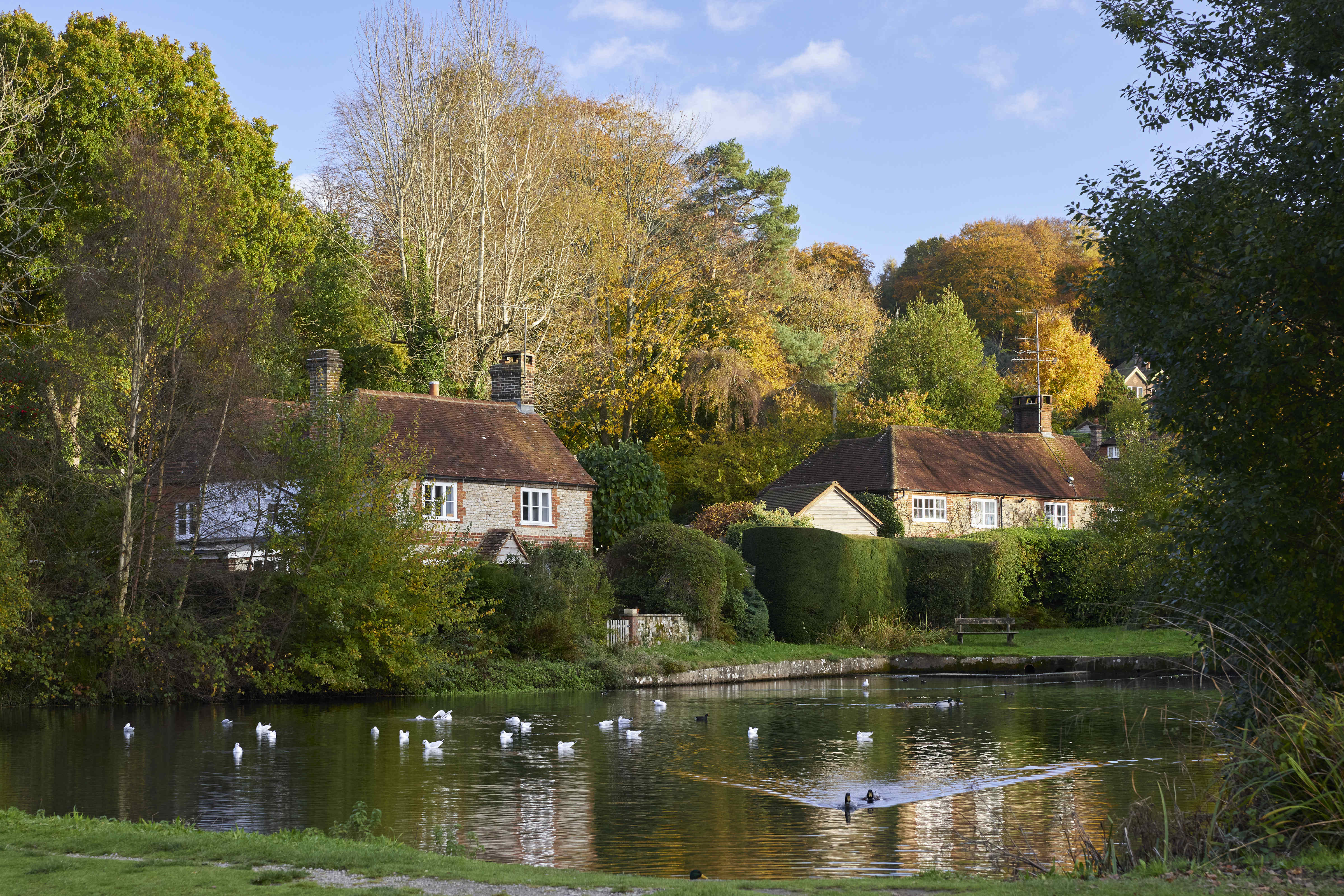 The National Trust Shottermill