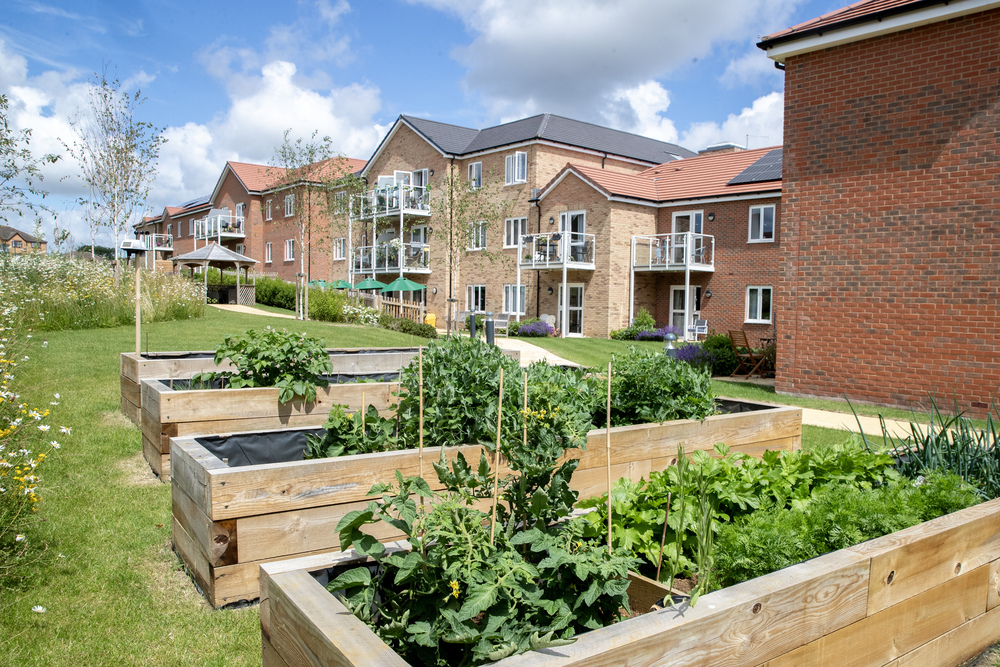 Bluebell House