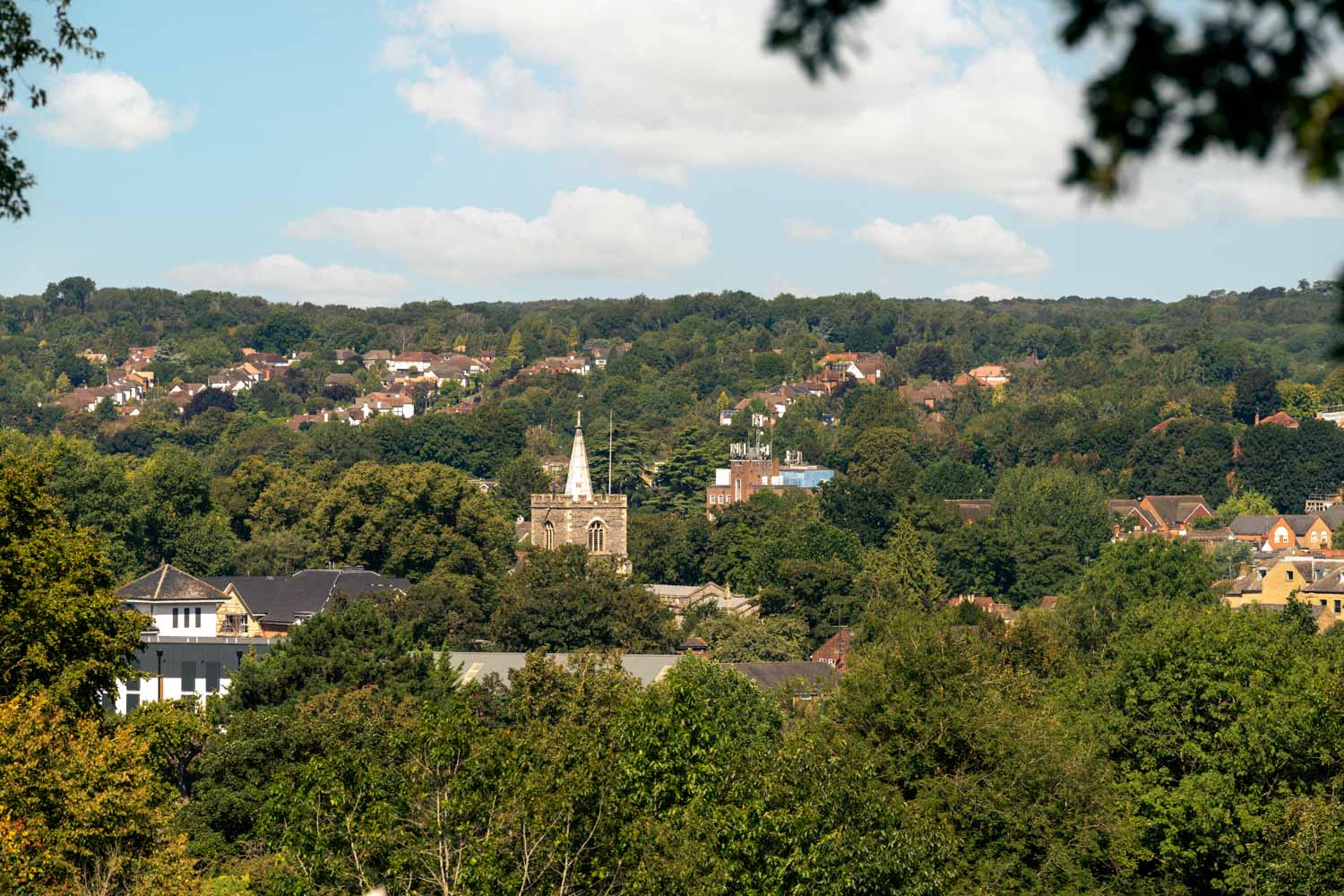 a city with trees and buildings