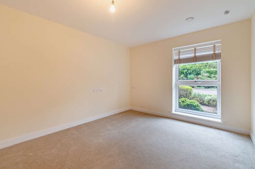 a room with a window and a plant in it
