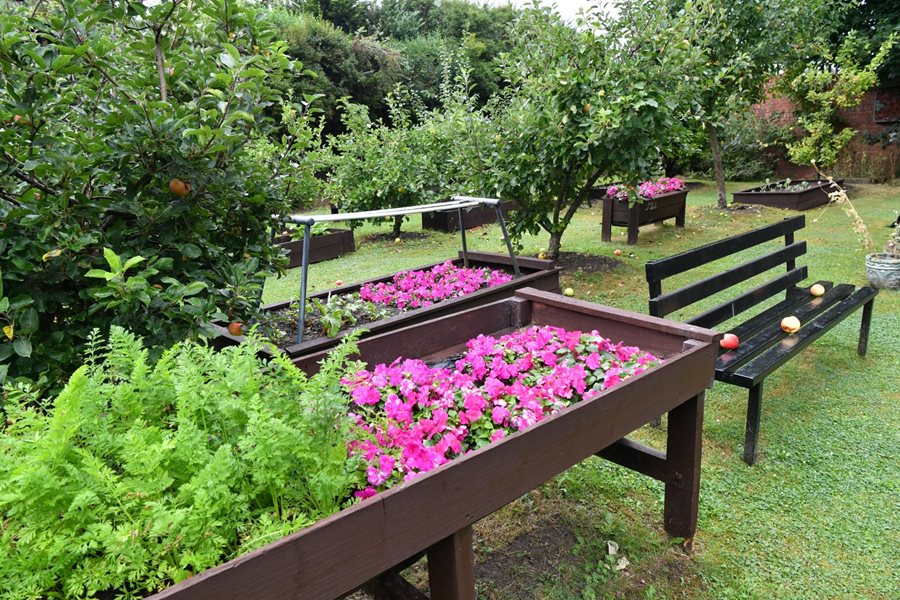 a bench in a garden