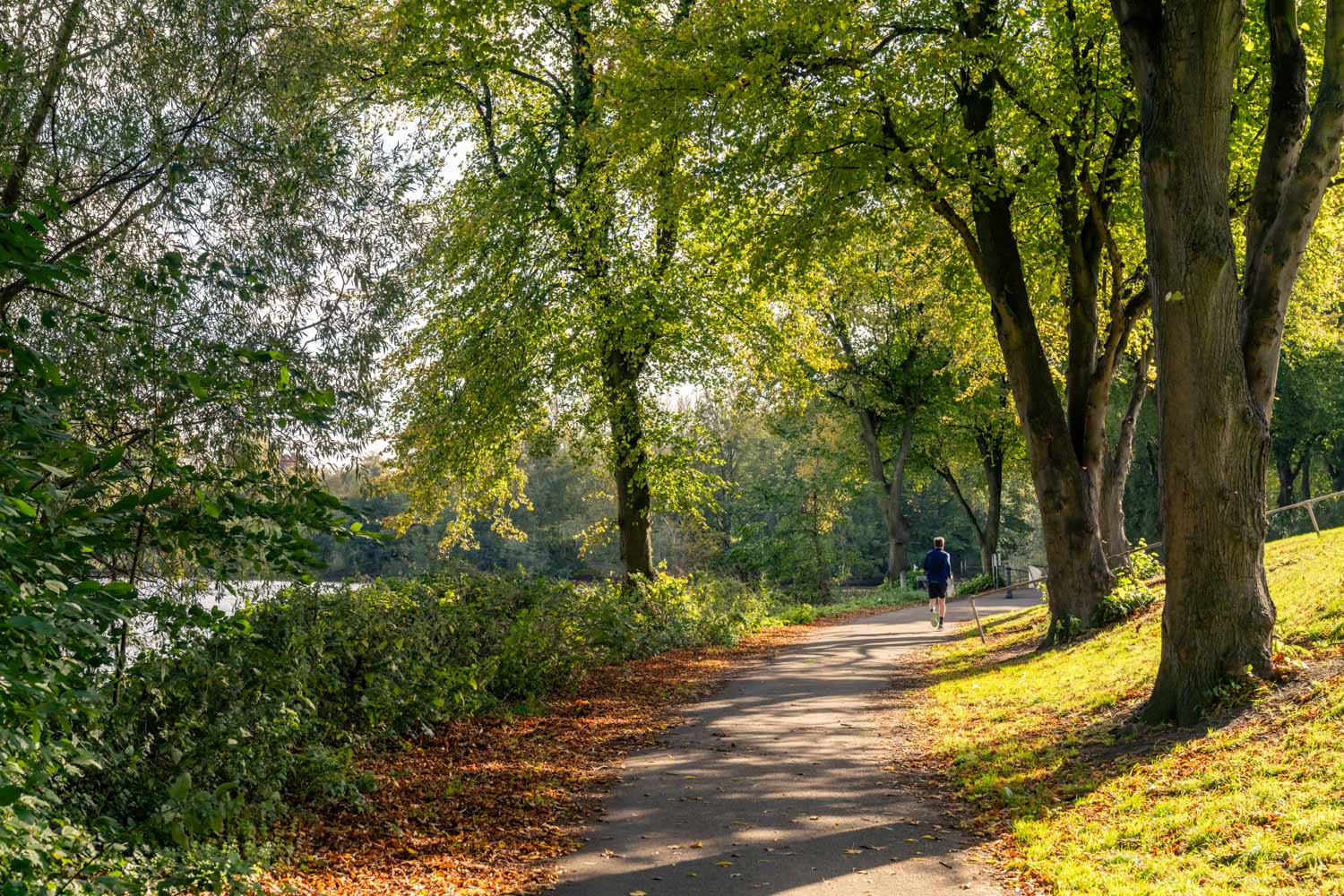 a person walking on a path through a park