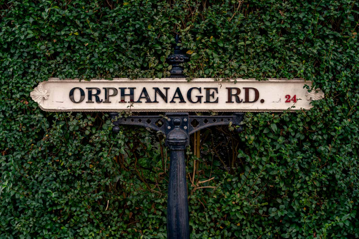 a street sign is posted in front of some trees