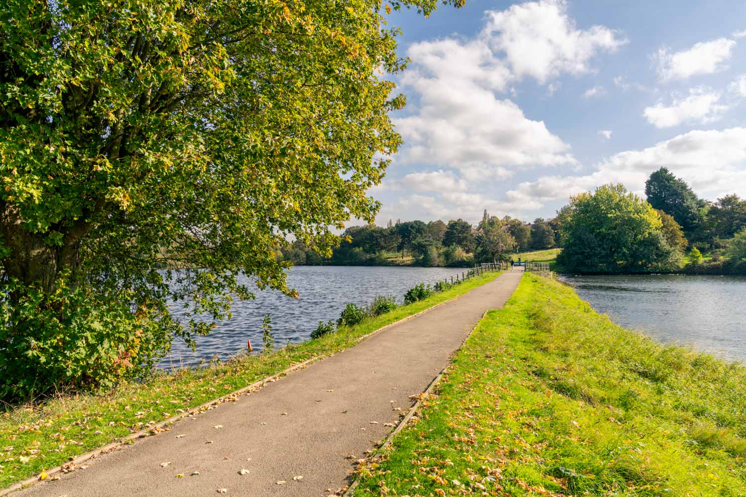 a river with trees and grass around it