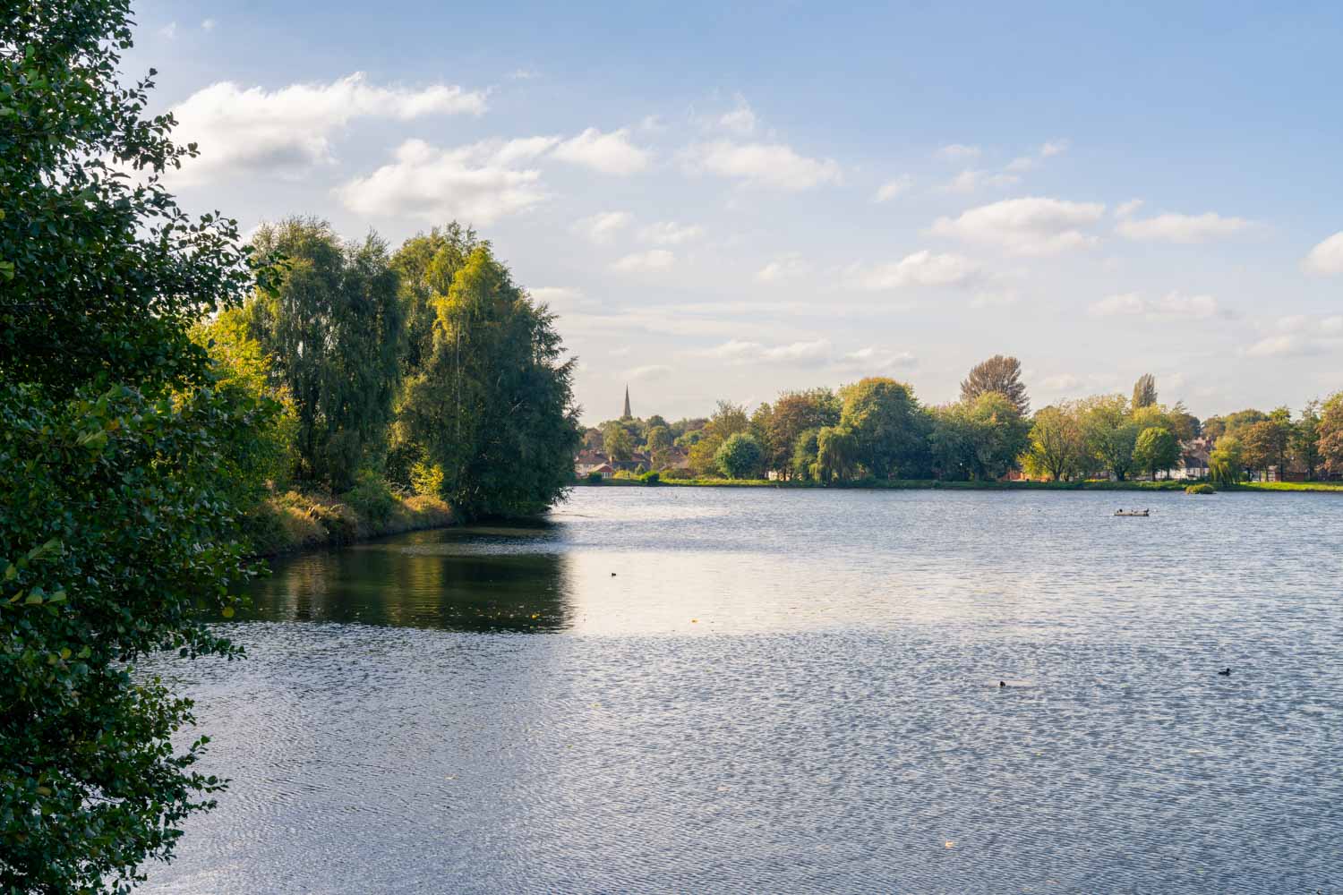 a body of water with trees around it