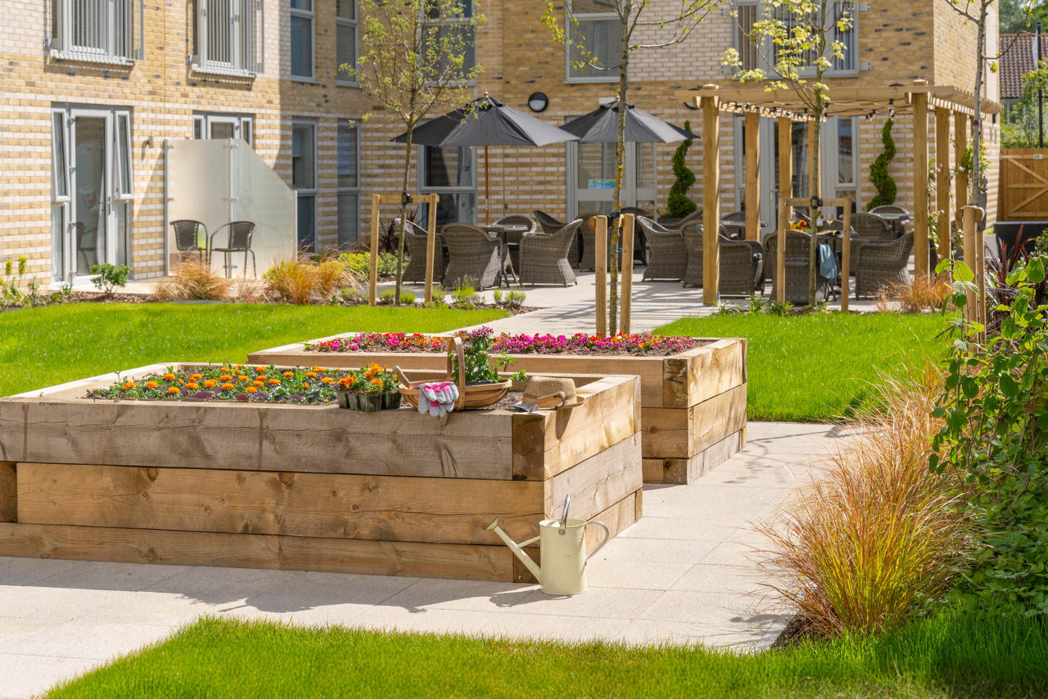 a flower bed in a garden