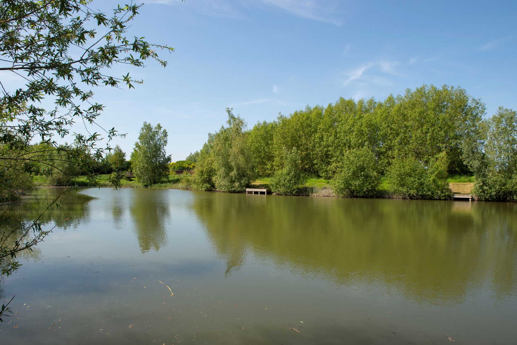 a body of water with trees around it
