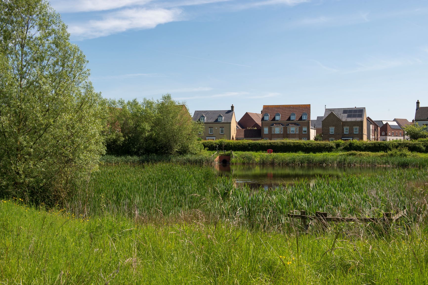 a field with houses in the background
