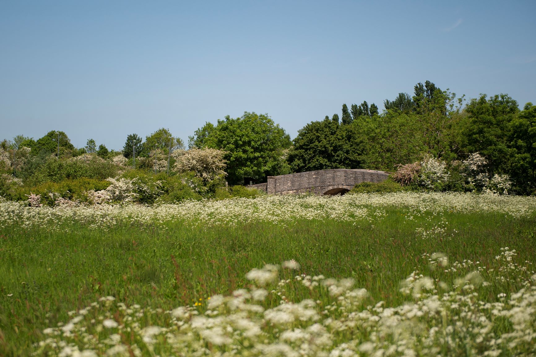 a house in a field