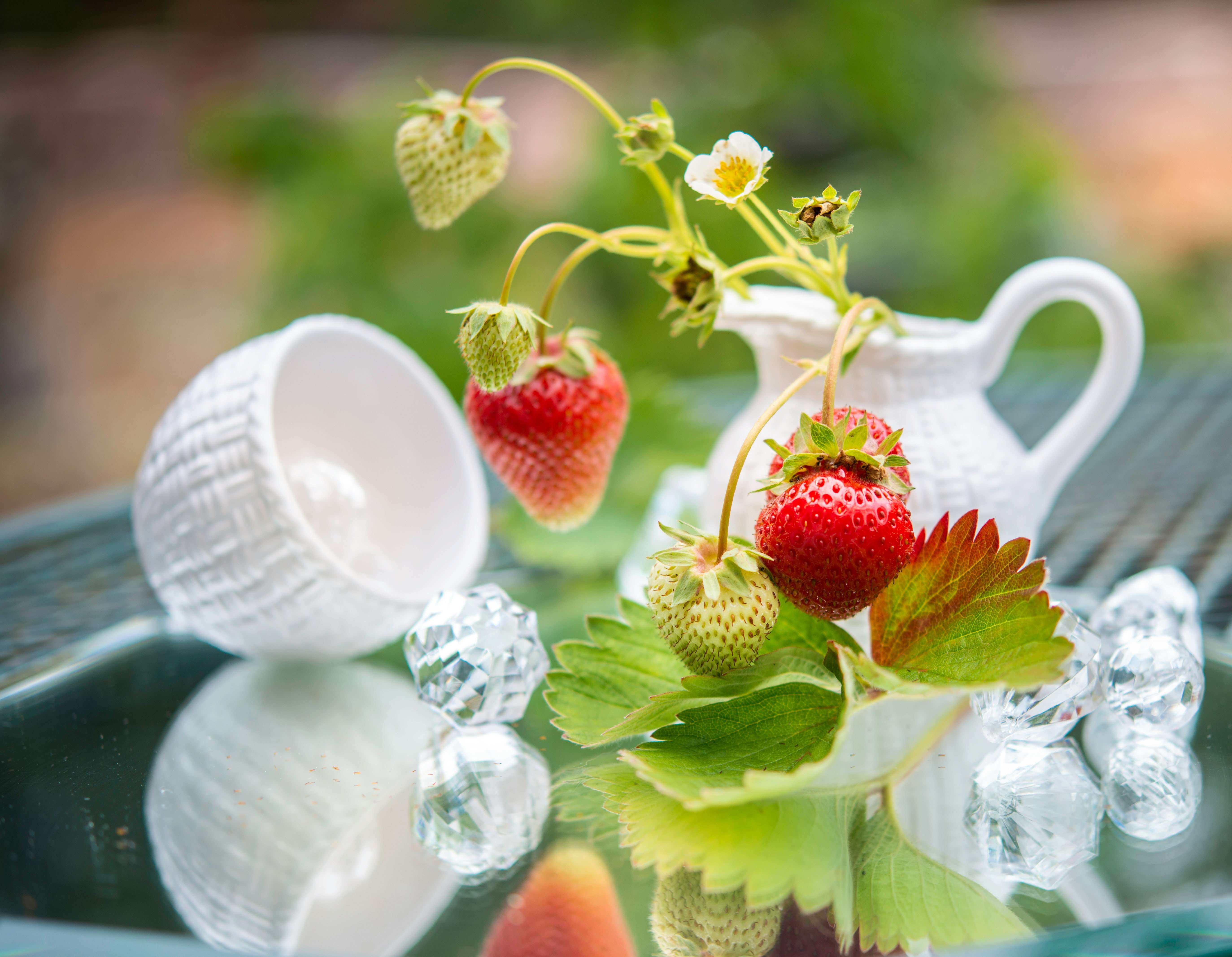 Red Strawberries and white tea cup