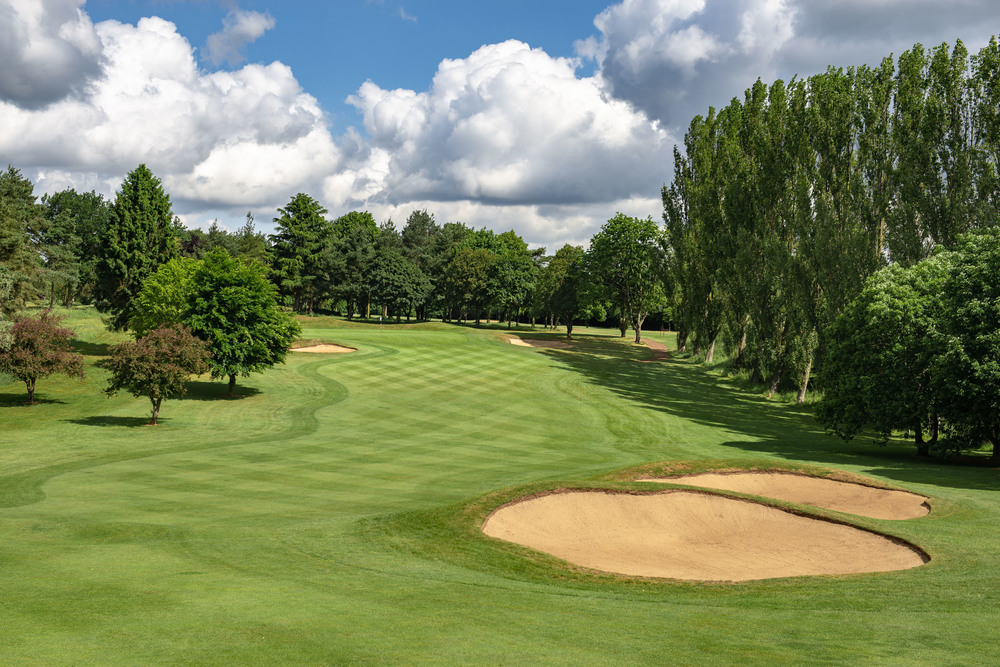 a golf course with trees