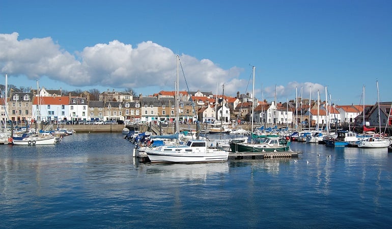 boats in a harbor