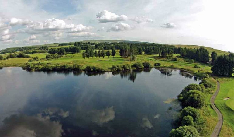 a river with trees and grass