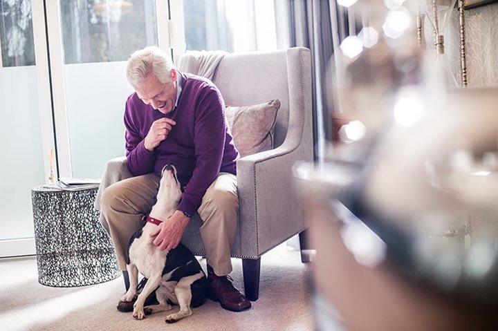 a person sitting on a chair petting a dog