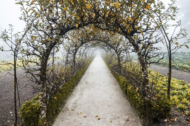 a path through a tunnel
