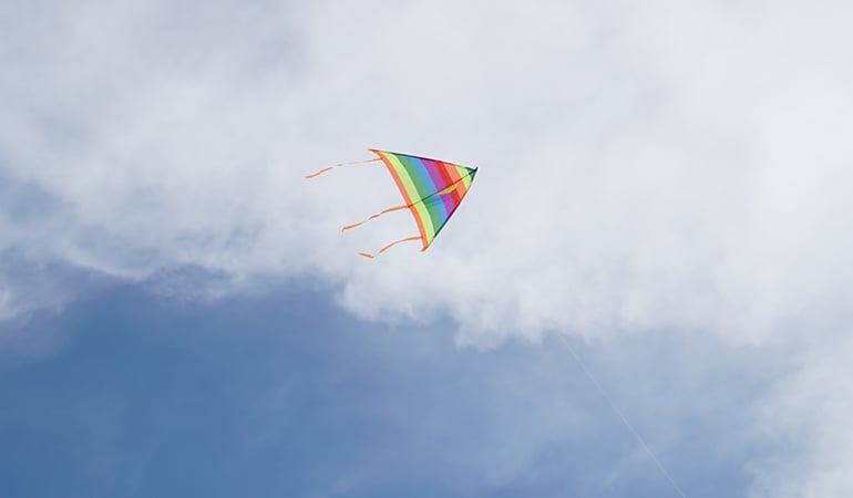 a kite flying in the sky