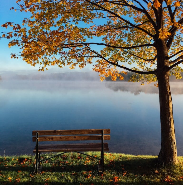 a bench in a park