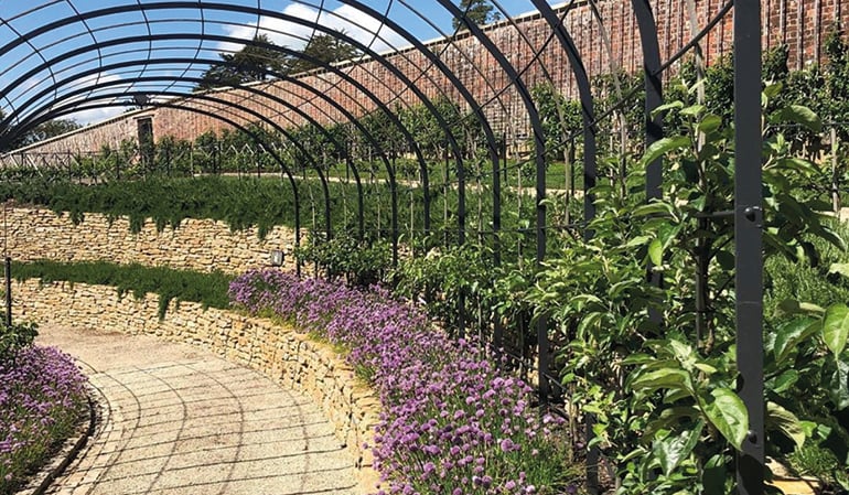a greenhouse with purple flowers