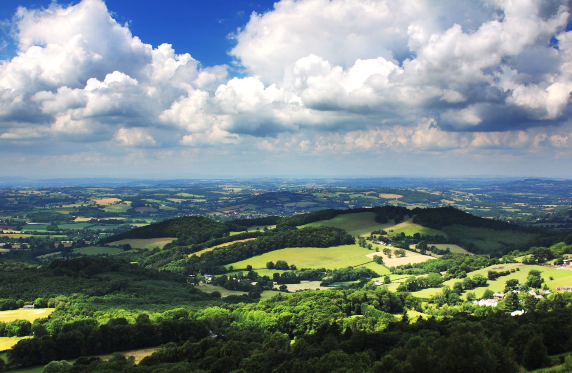 a landscape with trees and clouds