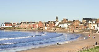people on a beach